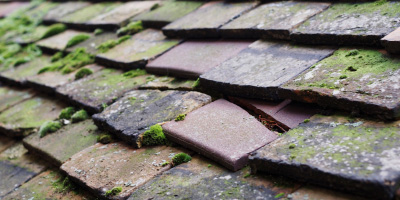 Ickleton roof repair costs